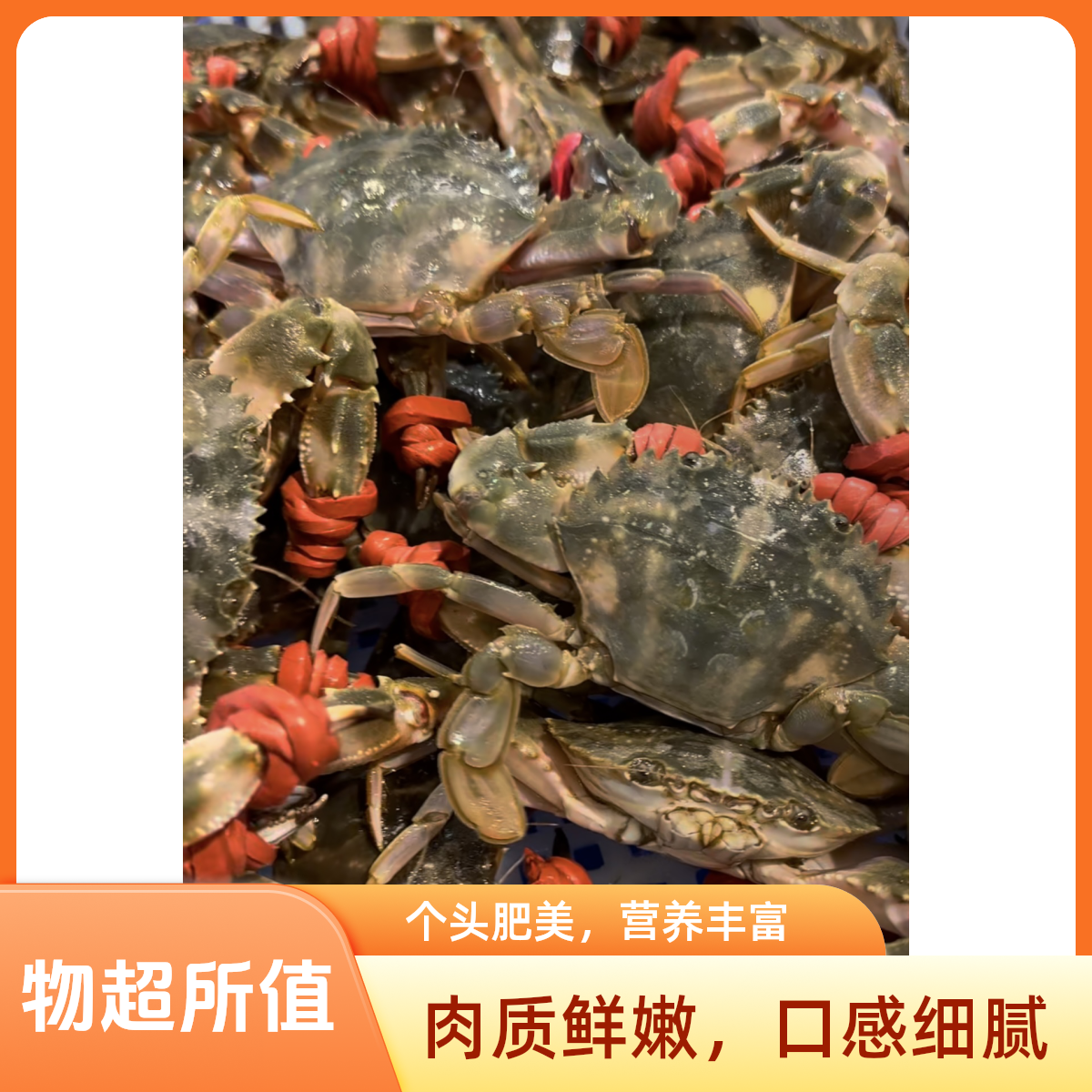 【保鲜不保活】骑手送货，花盖蟹3斤~5斤，一只1.3-1.9两掉爪介意勿拍