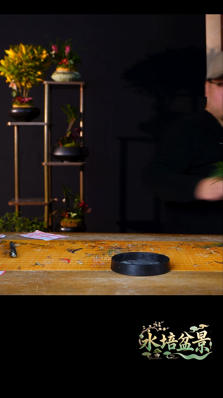 石云社一物一拍组合盆栽15