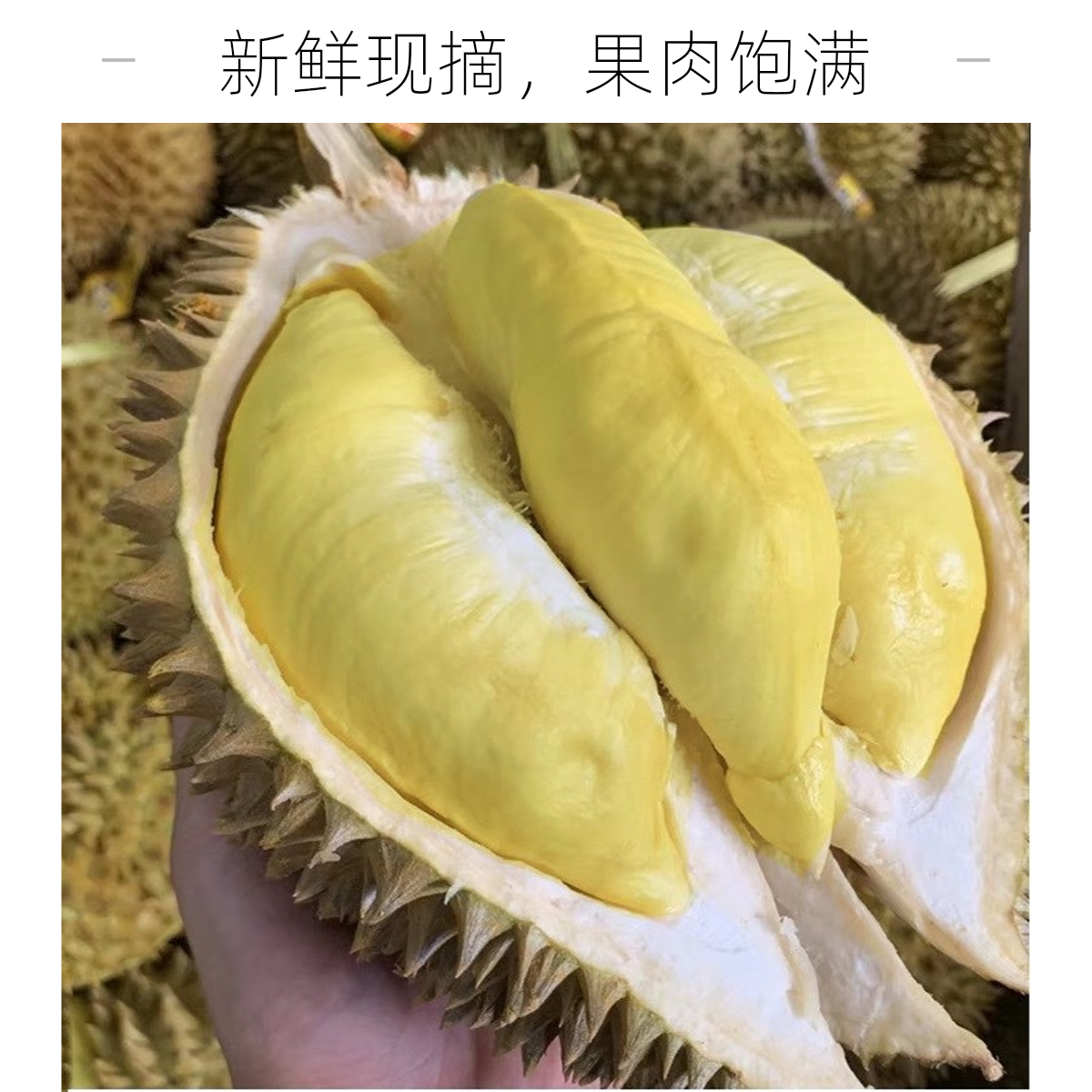 泰国新鲜金枕榴莲精品福利果肉厚核小((不支持后售，介意勿拍)8g金枕泰国