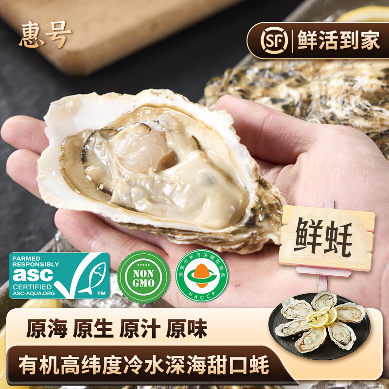 【惠蚝精选买5斤送5斤鲜活生蚝】山东深海刺参级冷水生蚝顺丰包邮