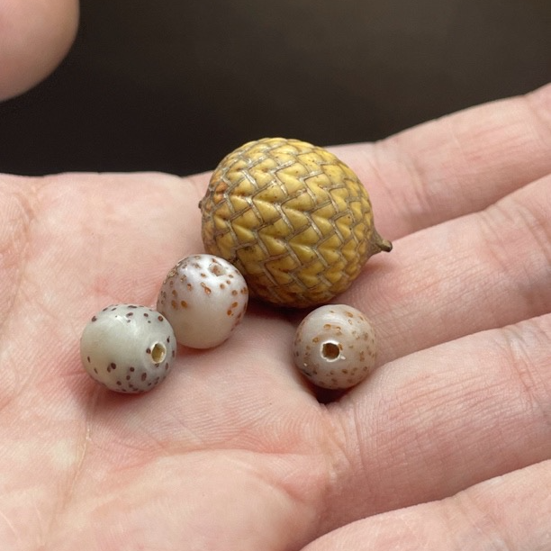 5 海南料原生态星月菩提 直播改价链接（勿乱拍）