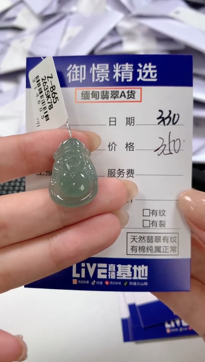 翡翠未镶嵌颈饰21