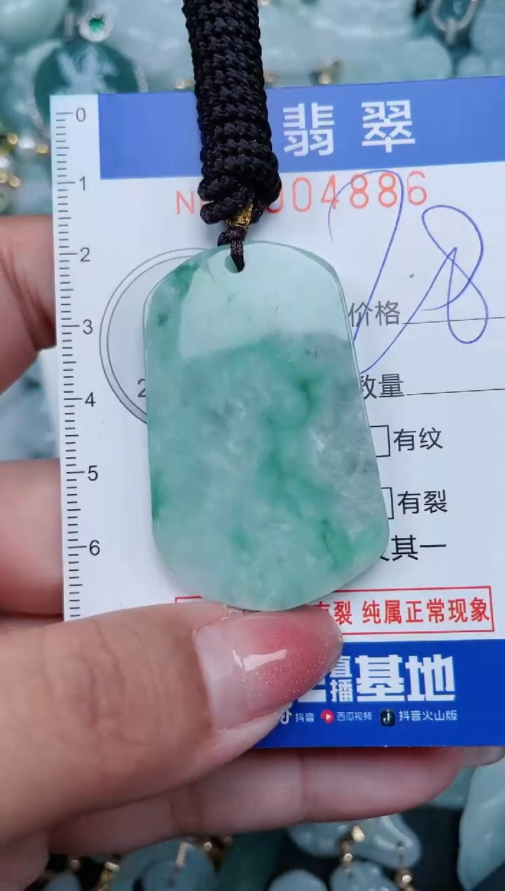 【闪购商品】翡翠颈饰未镶嵌.0004886