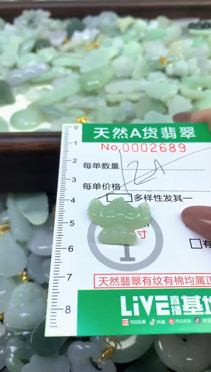 颈饰未镶嵌翡翠纯天然缅甸A货翡翠