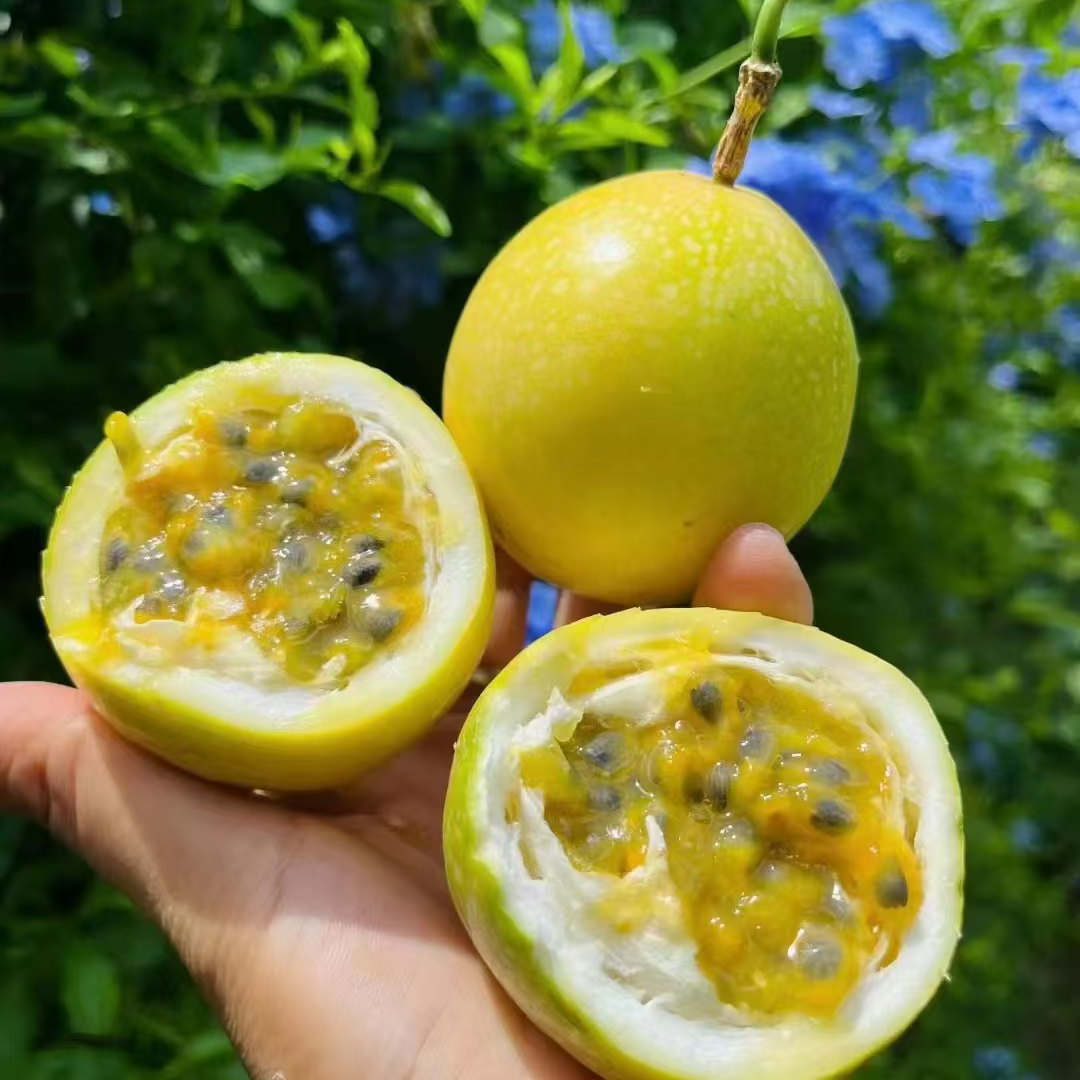 钦蜜9号百香果新鲜现摘香甜多汁当季水果
