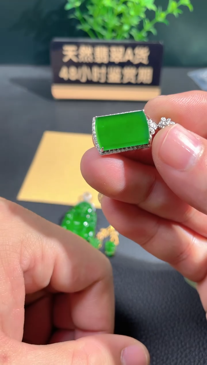 【闪购商品】翡翠颈饰18K金镶嵌翡翠