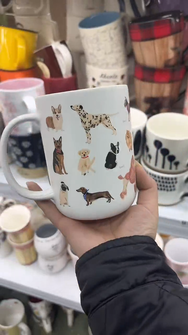 【闪购商品】家湖高温陶瓷杯 微瑕 两个