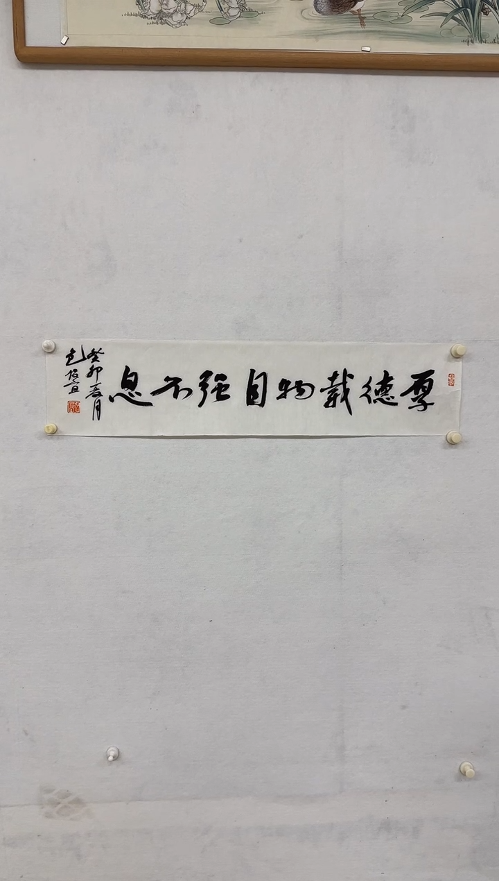 【闪购商品】国画天津人美-BJY-书法