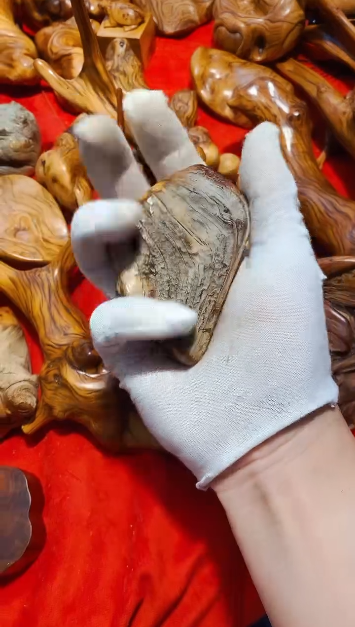 【闪购商品】柏木36崖柏崖柏崖柏崖柏崖柏