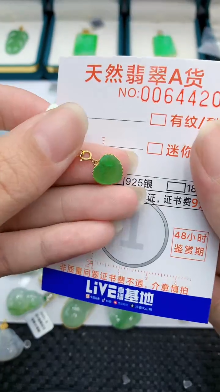 【闪购商品】翡翠颈饰18K金镶嵌            8