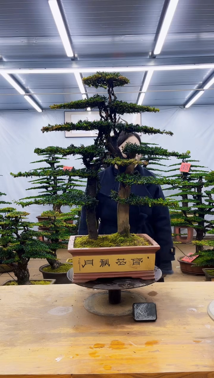 无花朵一物一拍·所见即所得