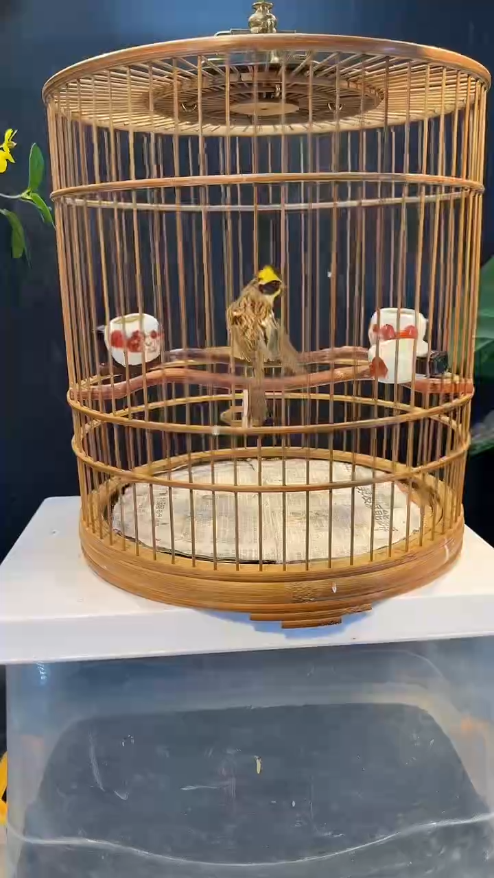 78号  虎头凤养笼  0元起拍