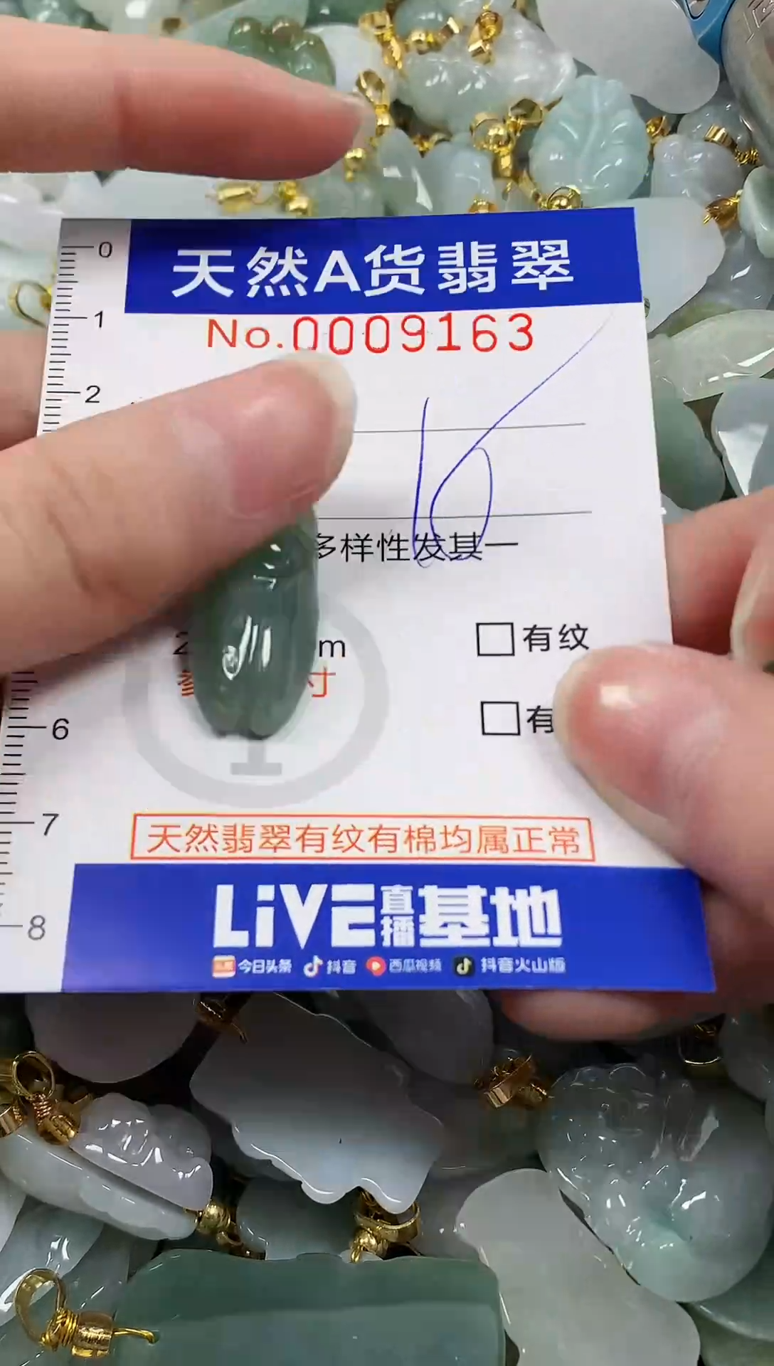 颈饰未镶嵌翡翠纯天然a货翡翠