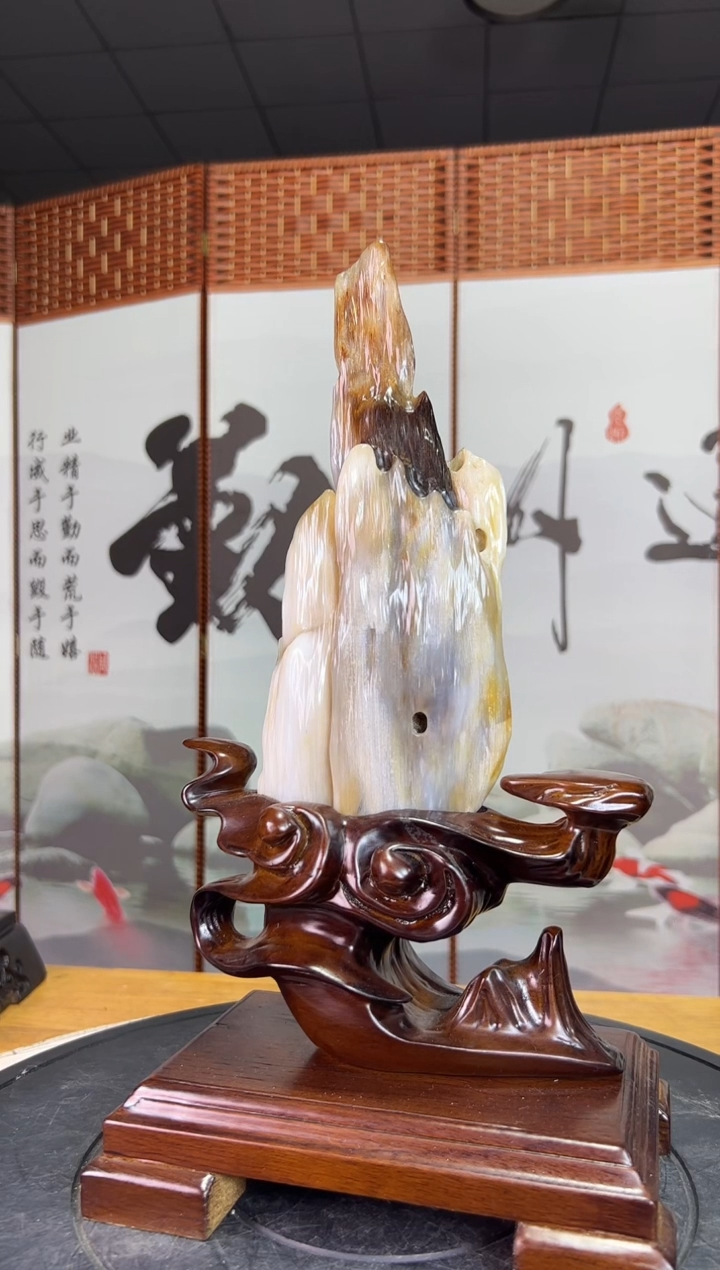 未镶嵌珠宝奇石硅化玉6