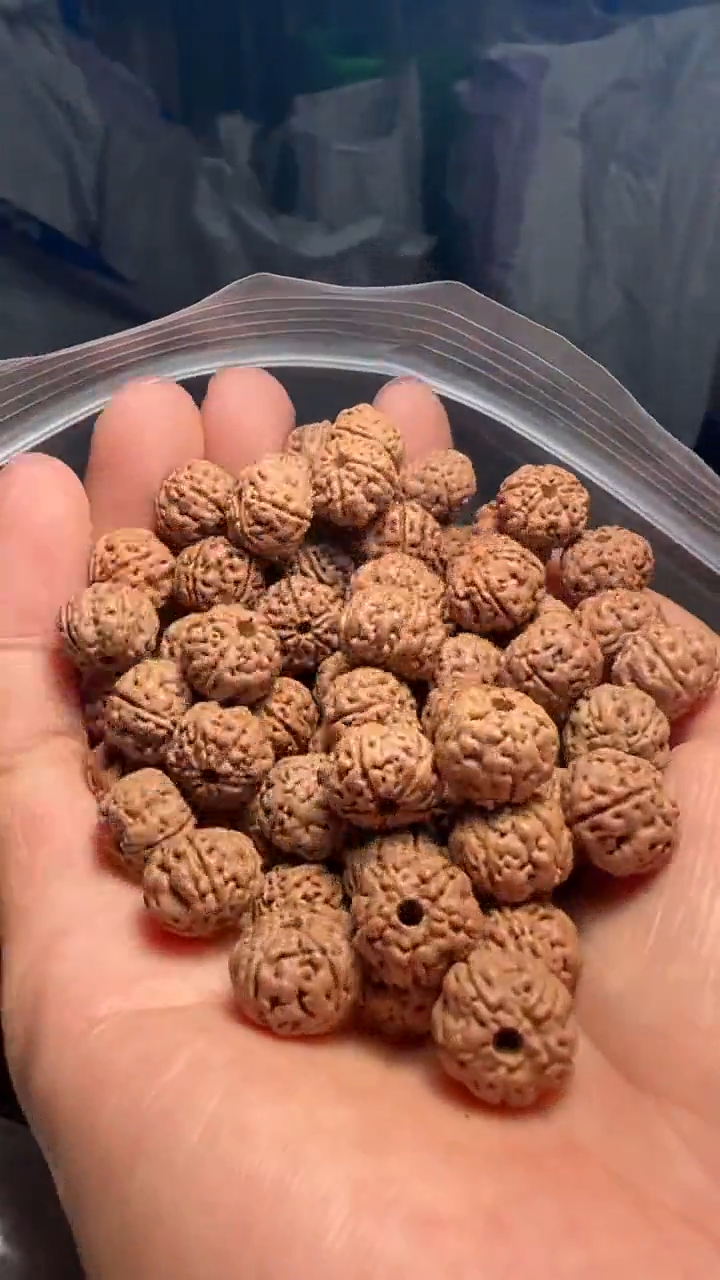 金刚菩提手串非全品老树王散籽11-12mm一份一百颗