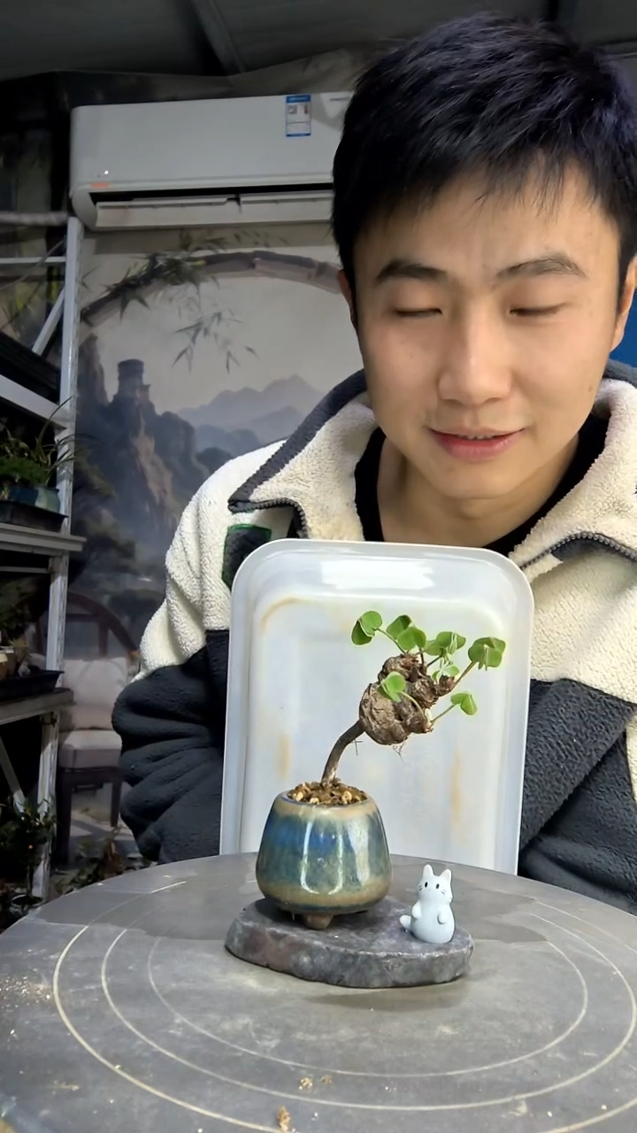 4****4中青园艺一物一拍花50