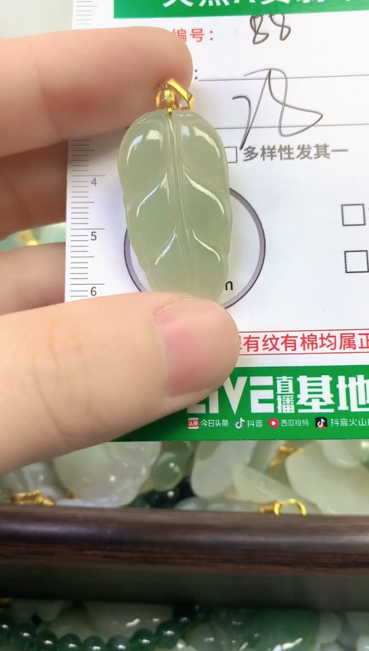 颈饰未镶嵌翡翠纯天然缅甸A货翡翠