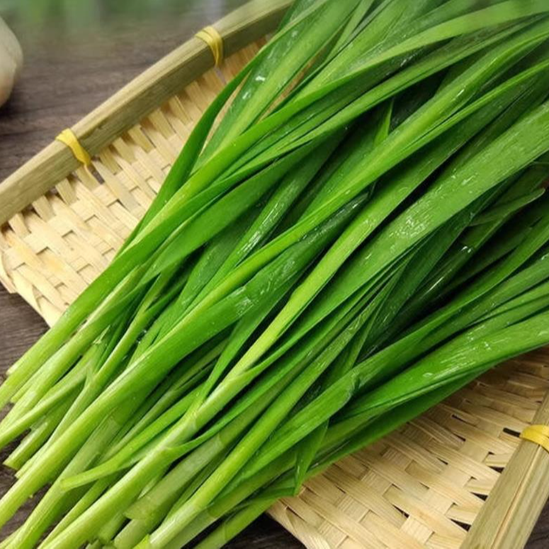 新鲜韭菜500g