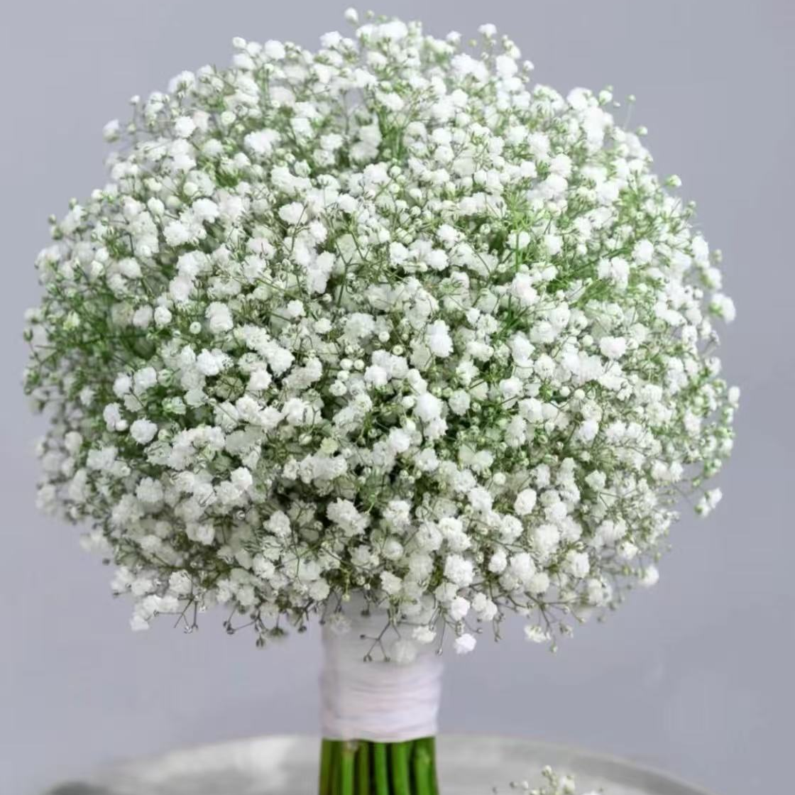 【新鲜满天星】 云南基地鲜切花，收到花一定要先醒花，不会咨询客服