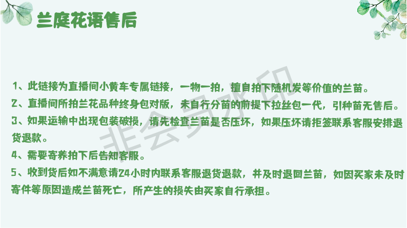 直播兰花1号链接（一物一拍）