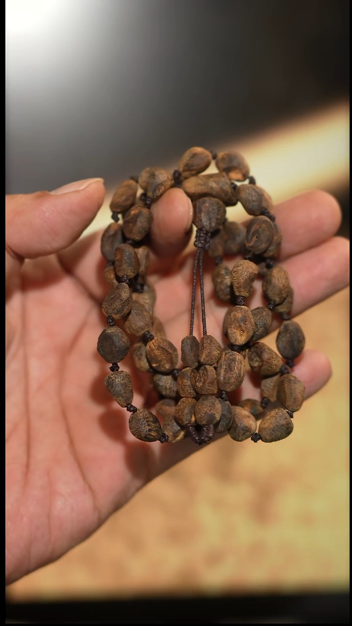 沉香手串海南绿奇楠沉水树丁虫漏随型长串22克 