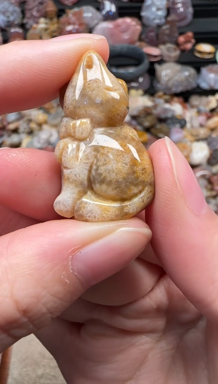 颈饰未镶嵌硅化珊瑚（珊瑚玉）237