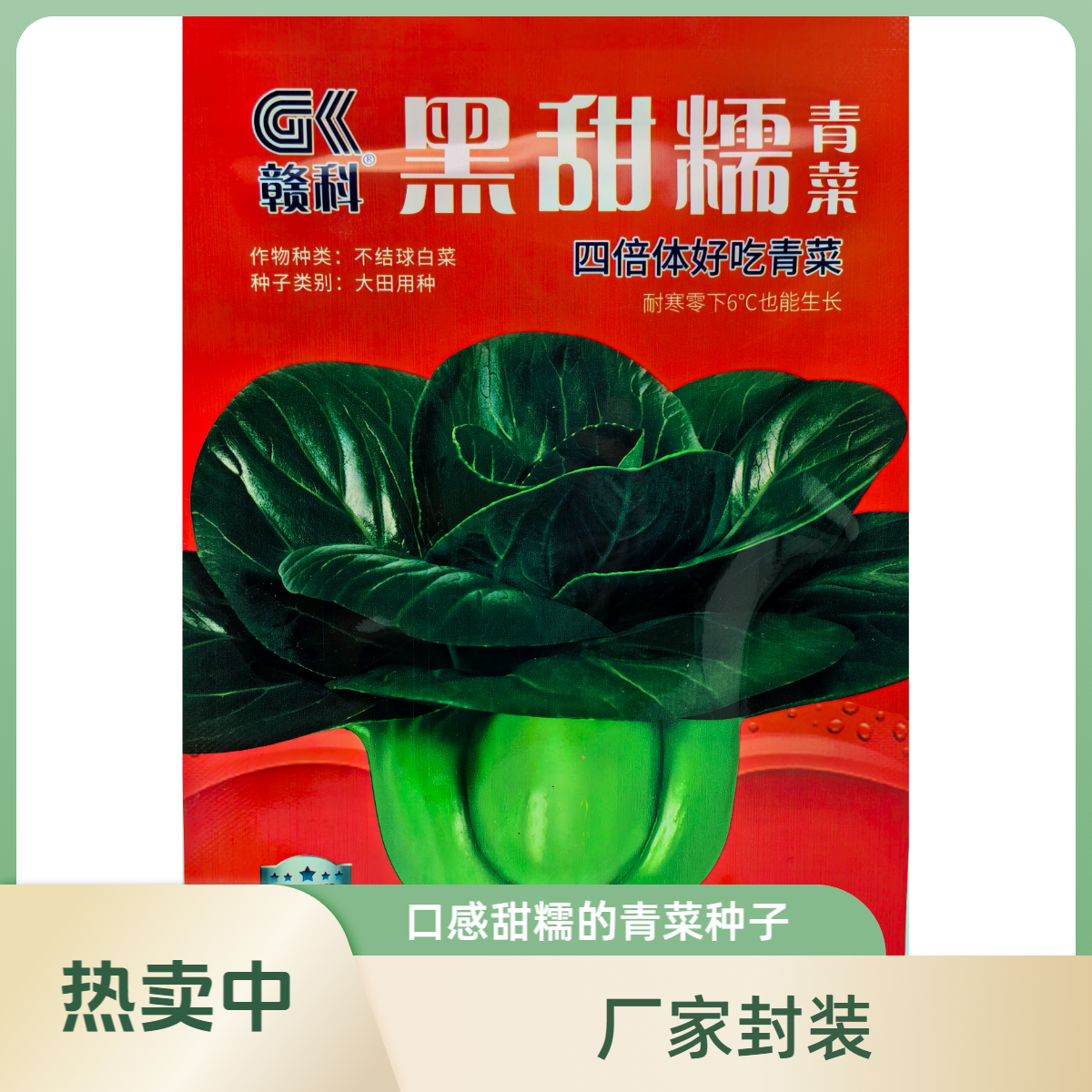 赣科黑甜糯青菜种子高产耐寒抗病秋冬播种