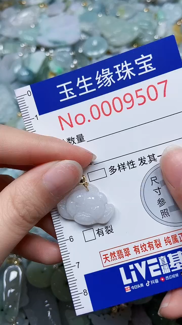 【闪购商品】翡翠颈饰未镶嵌闪购00009507