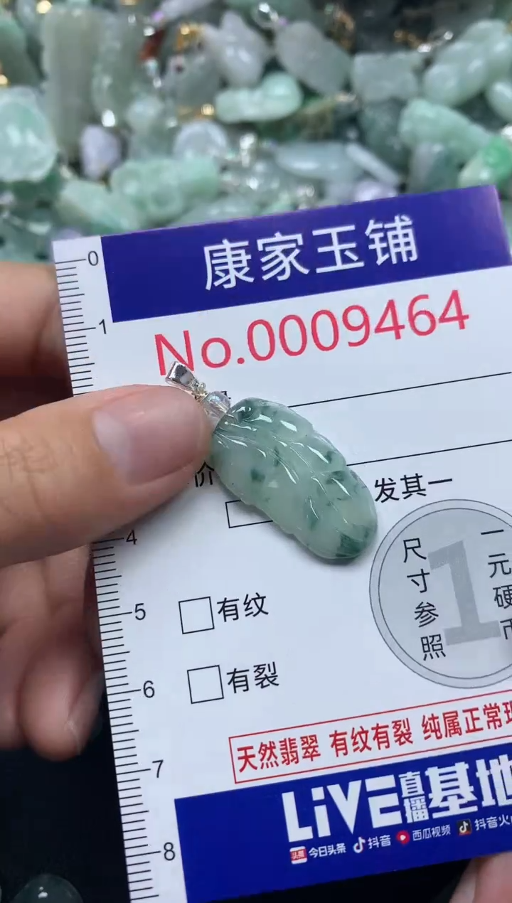 颈饰未镶嵌翡翠9464