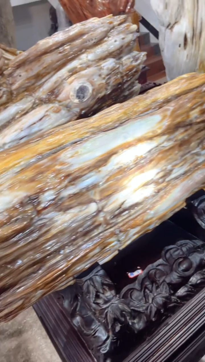 【闪购商品】硅化玉珠宝奇石未镶嵌缅甸天然树化玉