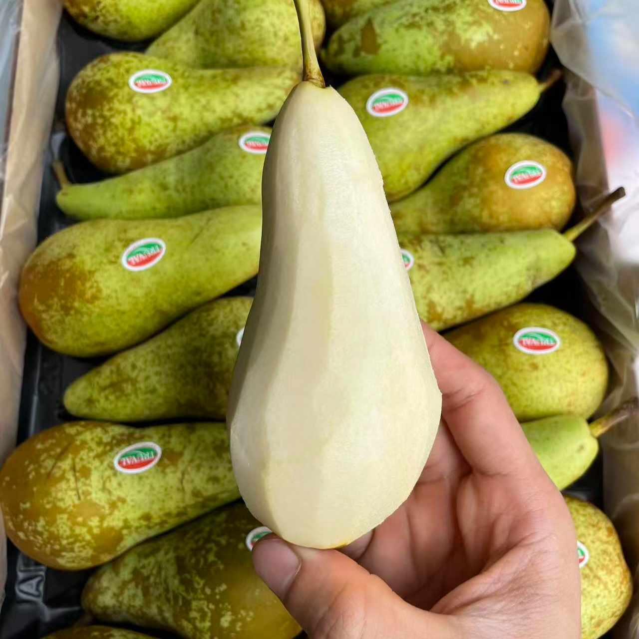 比利时啤梨 清凉多汁 净重3斤辽宁省