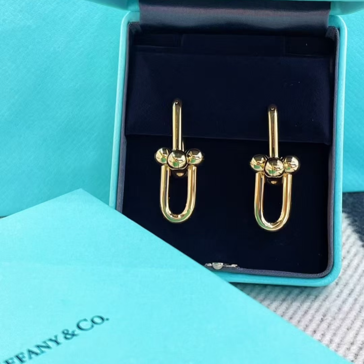 未使用 Tiffany & Co./蒂芙尼 【念念】 中号 链环耳环 18k玫瑰金