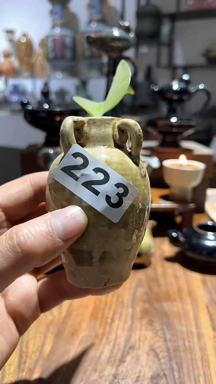 【闪购商品】摆件                  