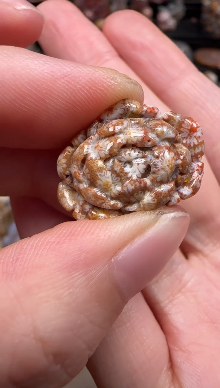 硅化珊瑚（珊瑚玉）未镶嵌颈饰349