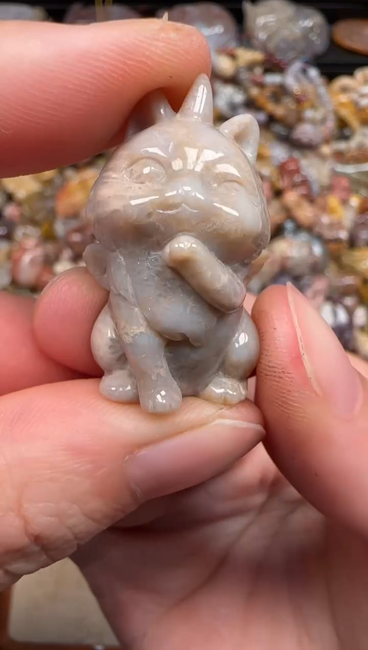 硅化珊瑚（珊瑚玉）未镶嵌颈饰259