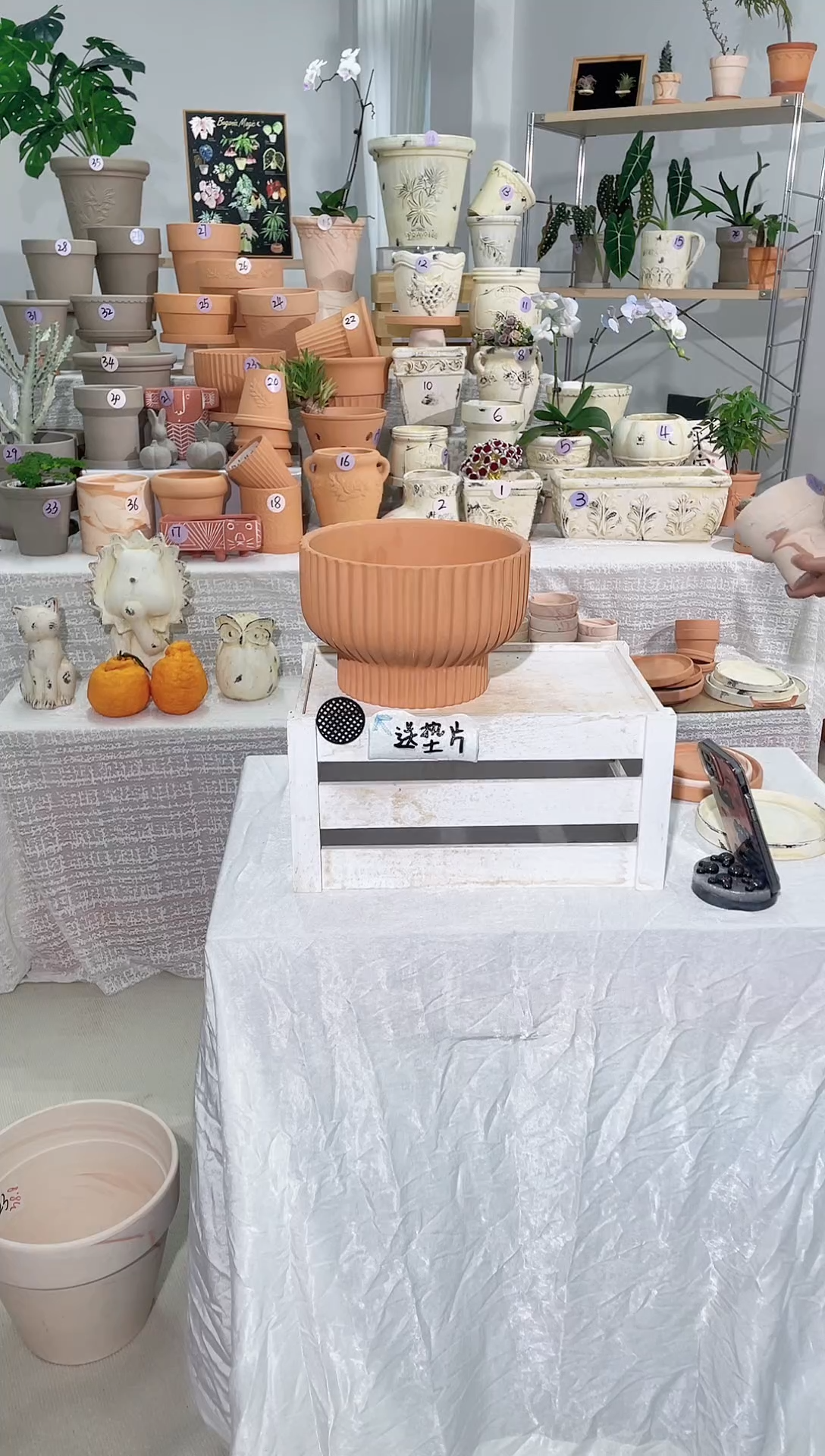 【闪购商品】陶1个无托 红陶竖条火锅盆口径22*高15