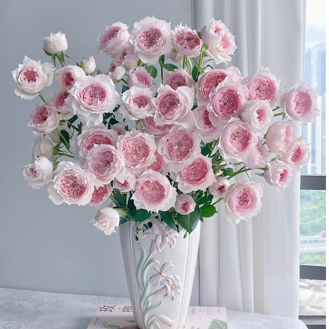 1-【我种花】调色盘稀有多头玫瑰鲜切花束玫瑰装饰暖冬红色云南直发