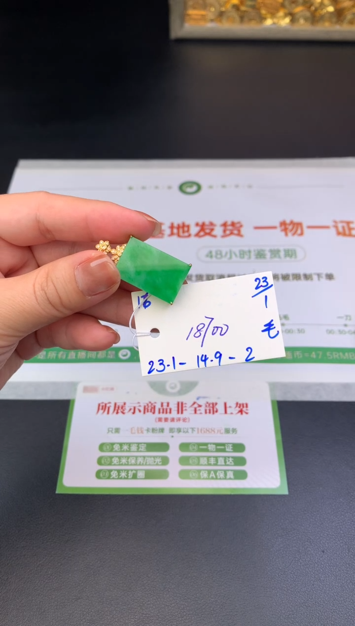 【闪购商品】翡翠颈饰未镶嵌挂件
