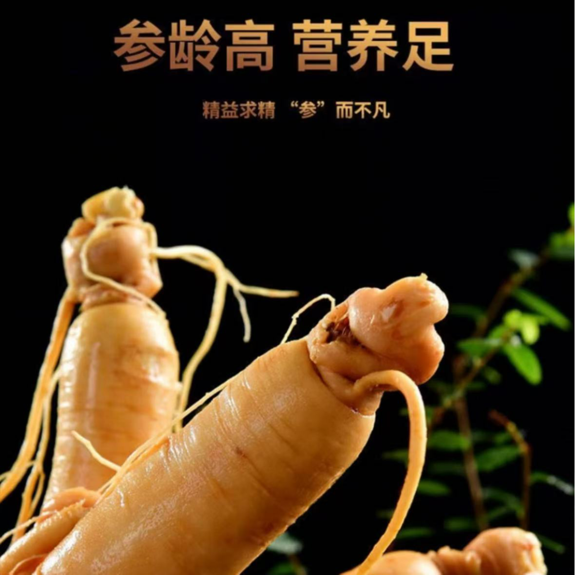 长白山 人参 保鲜参 泡酒 煲汤 滋补营养