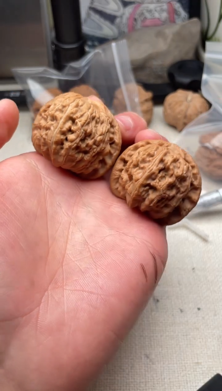 把件文玩核桃1201-42全品球白