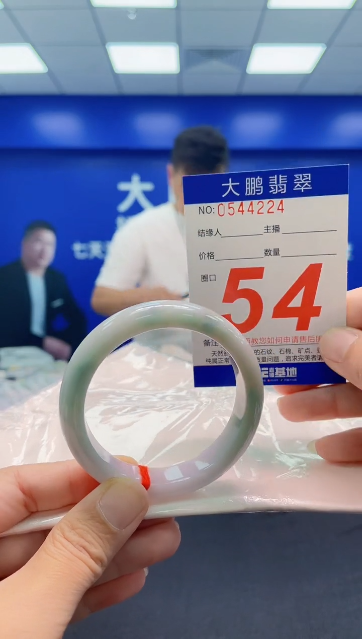 未镶嵌手镯翡翠AAAAAAAAA