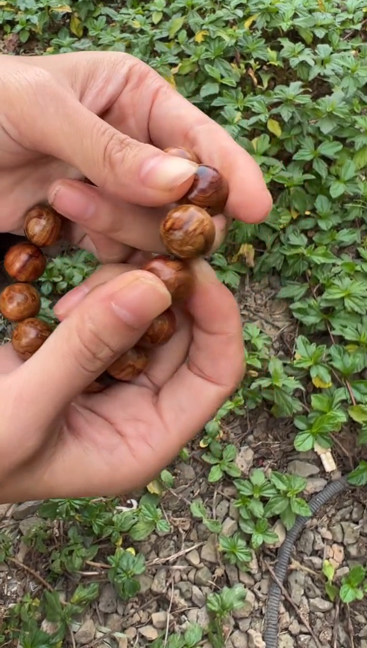 黄花梨/降香黄檀A024黄金底留疤水波1.5圆珠手串488