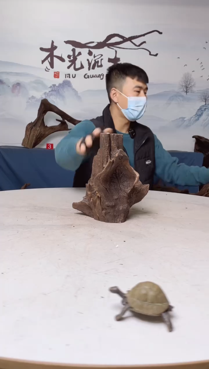 【闪购商品】A536木光沉木木光沉木