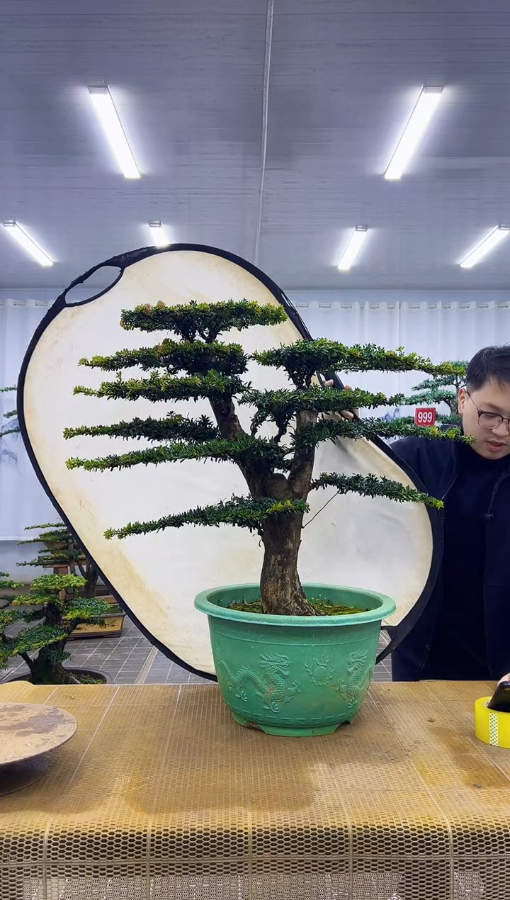 无花朵000000000000000000