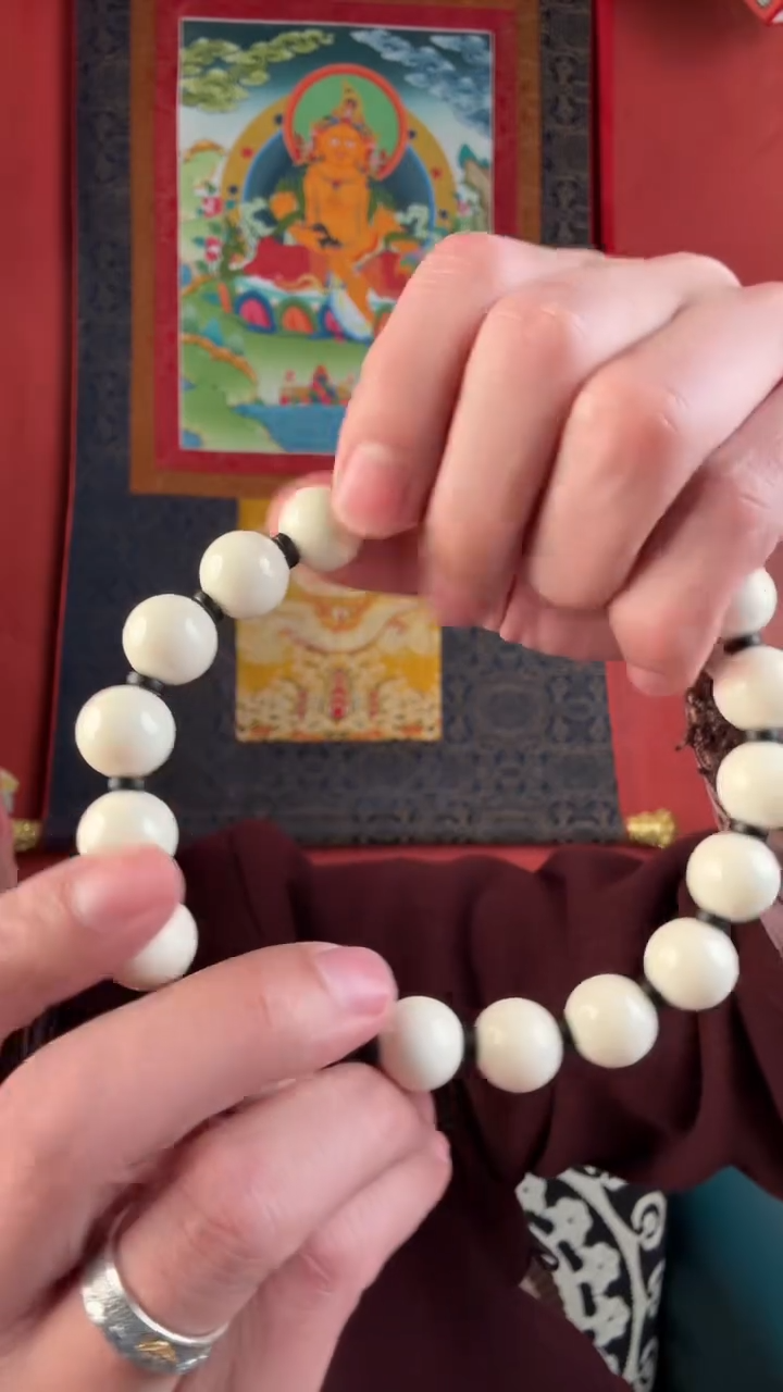 无非金属藏地宝宝