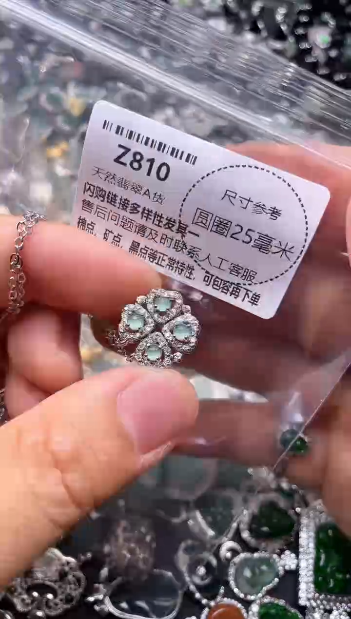 翡翠未镶嵌颈饰Z810项链