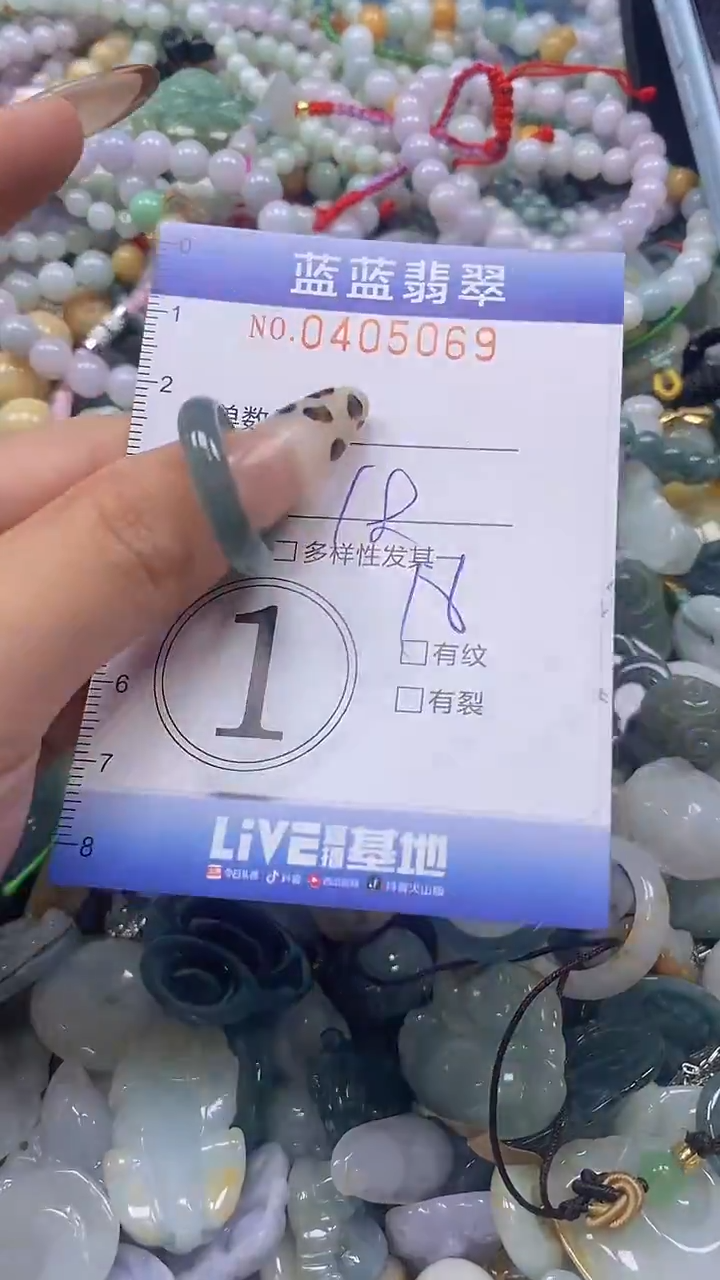 颈饰未镶嵌翡翠闪购0405069