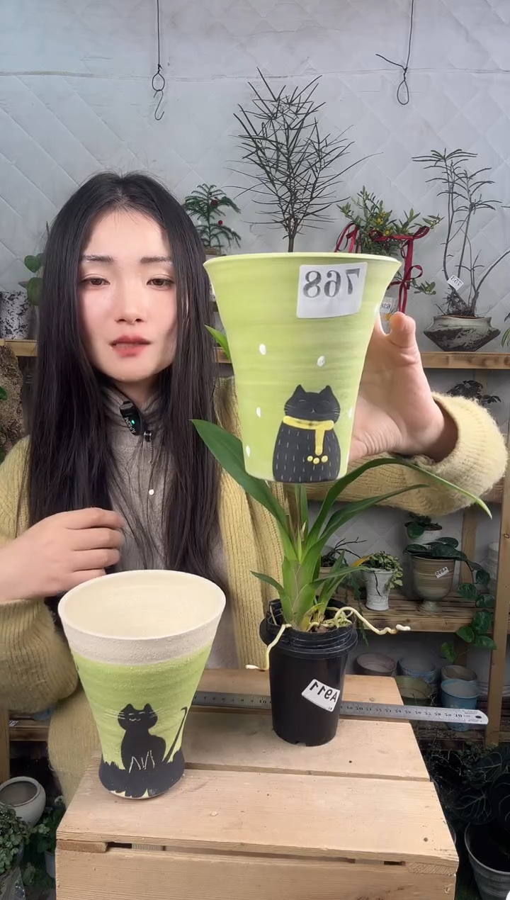 无花朵编号  768 景德镇手工花盆