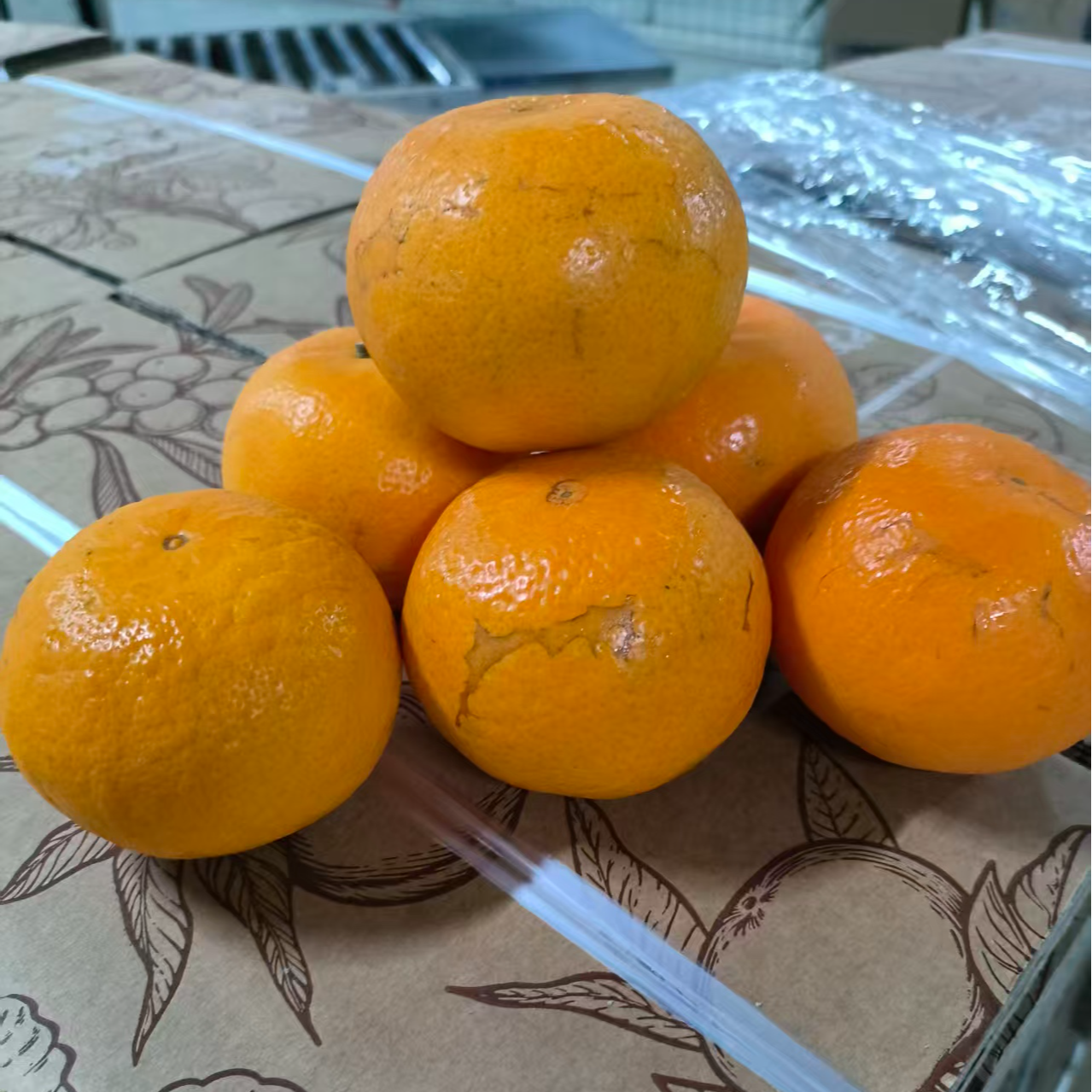 【中通】正宗广西武鸣沃柑高山沃柑果皮带花应季水果现摘现发