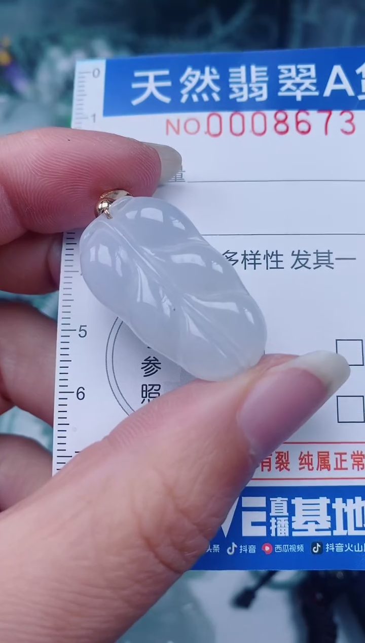 颈饰未镶嵌翡翠00008673